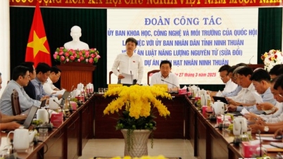The delegation of the National Assembly's Committee on Science, Technology and Environment worked with Ninh Thuan province.