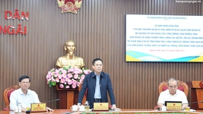 UBND tỉnh làm việc với các sở, ngành, địa phương