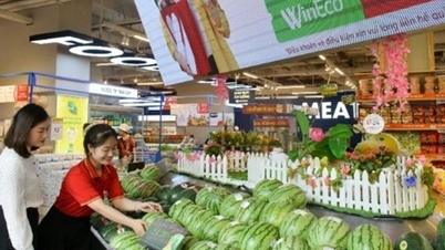 Consumo: motor del crecimiento económico