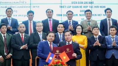 Quang Nam - Attapeu កិច្ចសហប្រតិបត្តិការអភិវឌ្ឍន៍