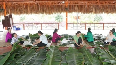 Cần Thơ: Nấu chiếc bánh chưng nặng gần 1,6 tấn làm lễ Giỗ tổ Hùng Vương