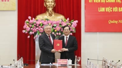비서처는 부 꾸옛 티엔 동지를 광닌성 당위원회 부서기로 임명하는 것을 승인했습니다.