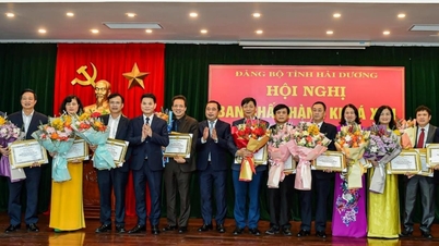 Hai Duong បាន​អនុម័ត​មនុស្ស 50 នាក់​ឱ្យ​ឈប់​ពី​ការងារ​ដោយ​យោង​តាម​ក្រឹត្យ 178 និង 67
