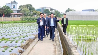 ThaiBinh Seed Group promotes the application of science and technology in research and development of plant varieties.