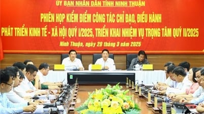 NTO - 省人民委員会が経済発展の指導と管理の業務を見直し