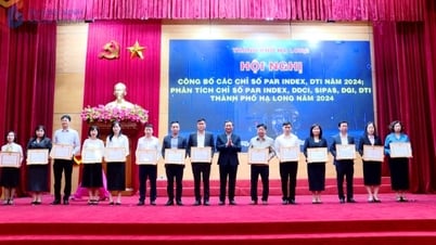 ទីក្រុងហាឡុង៖ ប្រកាសលទ្ធផលនៃចំណាត់ថ្នាក់ PAR INDEX និង DTI ក្នុងឆ្នាំ ២០២៤ នៃសង្កាត់ និងឃុំ