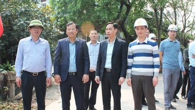 Tập trung cao giải phóng mặt bằng dự án xây mới đơn nguyên cầu Cẩm Lý và cầu vượt đường sắt