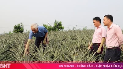 Tín dụng chính sách tạo động lực phát triển kinh tế - xã hội