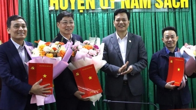 Nhiều cán bộ, công chức ở Nam Sách có nguyện vọng nghỉ hưu trước tuổi