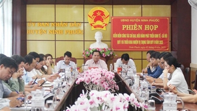 Ninh Phuoc: Deploying key tasks in the second quarter of 2025