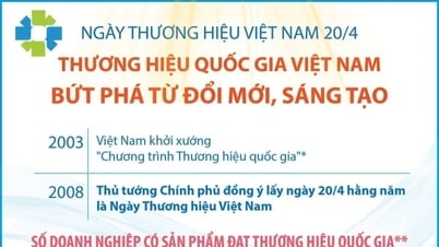 [Infographics] ម៉ាកជាតិវៀតណាម៖ ទម្លាយពីការច្នៃប្រឌិត និងការច្នៃប្រឌិត