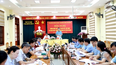 Thống nhất phương án sắp xếp, sáp nhập Cơ quan UBKT Tỉnh ủy Hà Giang và Tuyên Quang