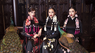 Vo Viet Chung inspires patriotism through traditional fashion