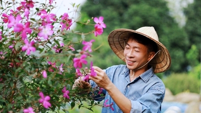 Việt Hoàn U60 hạnh phúc sau ly hôn vợ kém 18 tuổi, phủ nhận là đại gia bất động sản