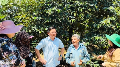 ផលិតកម្មកសិកម្មដែលទាក់ទងនឹងការនាំចេញ និងការកែច្នៃ