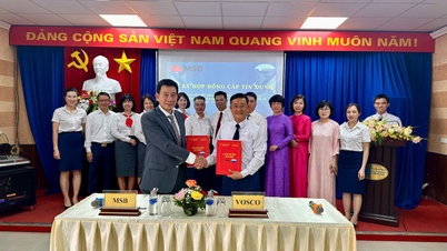 Signing Ceremony of Credit Contract for Fleet Development Investment between VOSCO and MSB Bank - Vietnam National Shipping Lines - VIMC