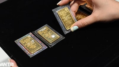 Le prix de l'or a augmenté de 1,7 million de VND, pour atteindre 121 millions de VND/tael