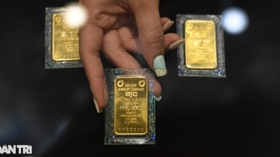 انخفاض سعر سبائك الذهب في SJC، ليصل إلى 120 مليون دونج/تيل