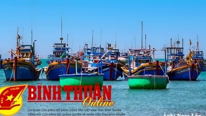 ការពង្រឹងក្រុមការងារអន្តរវិស័យពាក់ព័ន្ធនឹងប្រព័ន្ធត្រួតពិនិត្យការធ្វើដំណើររបស់នាវានេសាទ