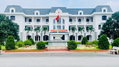 Sau sắp xếp, Ninh Giang có 5 xã trên 2,7 vạn dân