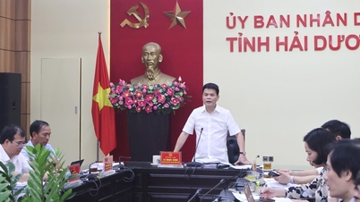 Los votantes de Hai Duong están muy de acuerdo con el proyecto de fusionar la provincia de Hai Duong y la ciudad de Hai Phong.
