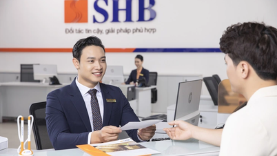 SHB erwirtschaftete im ersten Quartal einen Gewinn von fast 4.400 Milliarden und wird voraussichtlich zwei Jahre lang Dividenden von bis zu 36 % ausschütten