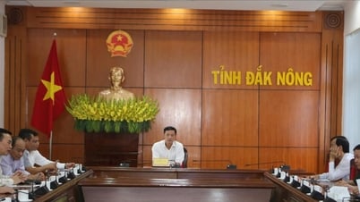 នៅទូទាំងប្រទេស ករណីរត់ពន្ធ និងការក្លែងបន្លំពាណិជ្ជកម្មជាង 30,000 ត្រូវបានដោះស្រាយ។