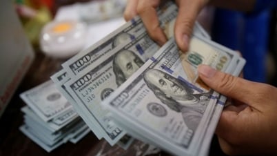 Tỷ giá ngoại tệ, tỷ giá USD/VND hôm nay 9/7: USD 'phố' sức mạnh, EUR chạm mức cao nhất trong một năm