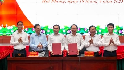 Hai Duong និង Hai Phong ឯកភាពលើខ្លឹមសារសំខាន់ៗជាច្រើនទាក់ទងនឹងការច្របាច់បញ្ចូលគ្នា