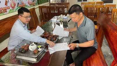 Dự kiến 4 xã mới sau sáp nhập ở Kim Thành có xã tên An Thành
