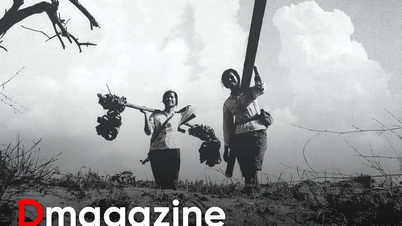 The love story of 200 letters of a female soldier protecting a secret pipeline in Truong Son