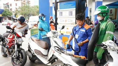 Gasoline prices fall across the board