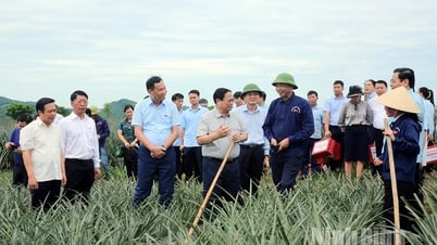 Dr. Dinh Cao Khue: My whole life is dedicated to Vietnamese agricultural products.