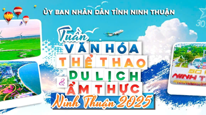 សប្តាហ៍វប្បធម៌ កីឡា ទេសចរណ៍ និងម្ហូបខេត្ត Ninh Thuan ឆ្នាំ 2025