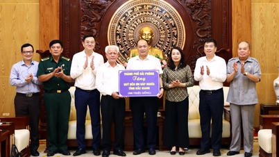 Delegation of Hai Phong City Party Committee visited and worked in Bac Giang