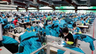 Xuất khẩu dệt may năm 2025 ước đạt 46 tỷ USD, giữ vị thế Top 3 thế giới