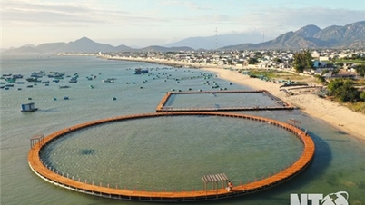 Hacia una agricultura marina moderna y sostenible