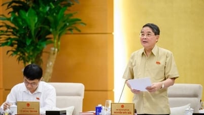 省と町を合併した後は、定期的な支出配分規範が発行されます。