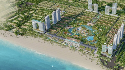 Một DN tại Vũng Tàu trúng đấu giá khu đất 60ha với giá trúng hơn 7.728 tỷ đồng