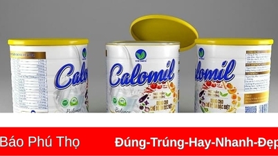 Révocation de la validité du certificat d'enregistrement de la déclaration de produit de la société par actions pharmaceutique vietnamienne