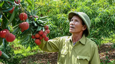 Overseas Vietnamese play an important role in bringing Vietnamese goods abroad.