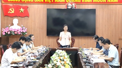 VPUB - Economic - Budget Committee reviewed 2 draft Resolutions submitted to the 12th session, 15th Provincial People's Council
