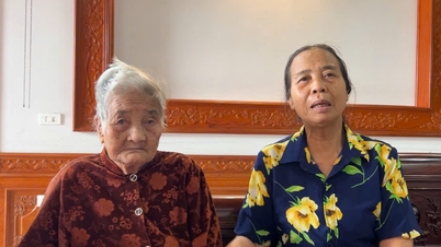Accepting the loss, Hoe's mother sent her husband and children off to fight the resistance.