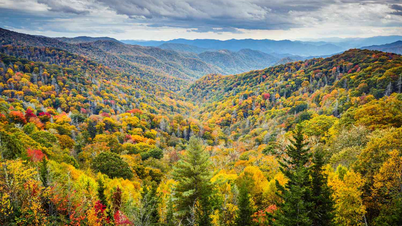 Top 5 places to visit in Tennessee this summer: The dreamy beauty of the American South