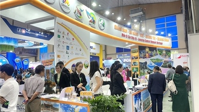 Tour hướng về cội nguồn, tìm hiểu lịch sử hút khách dịp 30/4