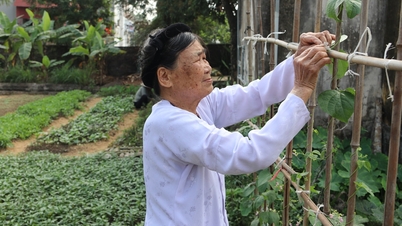 Mother Be anxiously waits for the day to welcome her martyr son back home