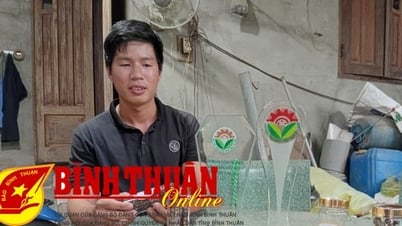 Chàng thanh niên nông thôn với sản phẩm OCOP 3 sao