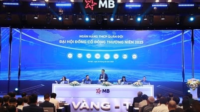 2025年定時株主総会：MBは近い将来に資本金100億ドルを目指す