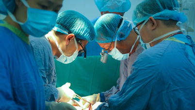50 năm sau thống nhất, Việt Nam chói sáng trên bản đồ ghép tạng thế giới