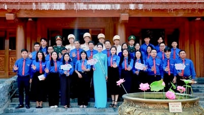 Vững tin theo Đảng